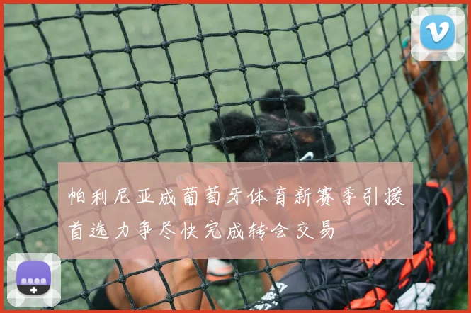 帕利尼亚成葡萄牙体育新赛季引援首选力争尽快完成转会交易