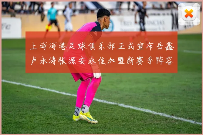 上海海港足球俱乐部正式宣布岳鑫卢永涛张源安永佳加盟新赛季阵容更新